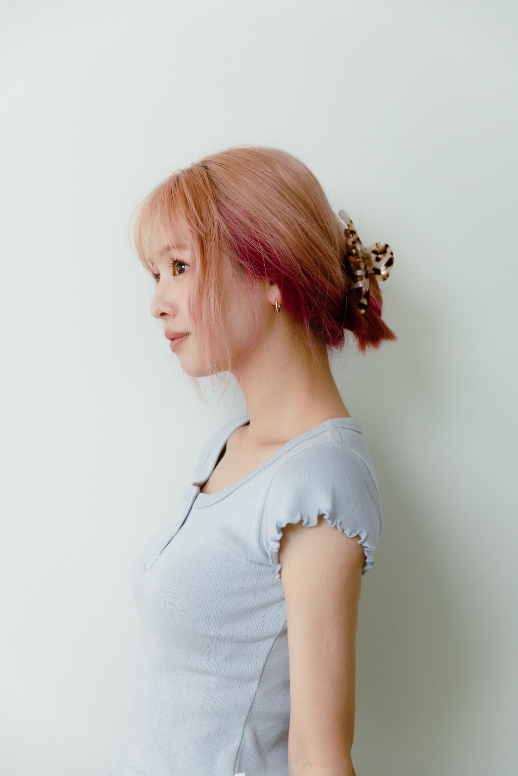 Multi Color Claw Clip