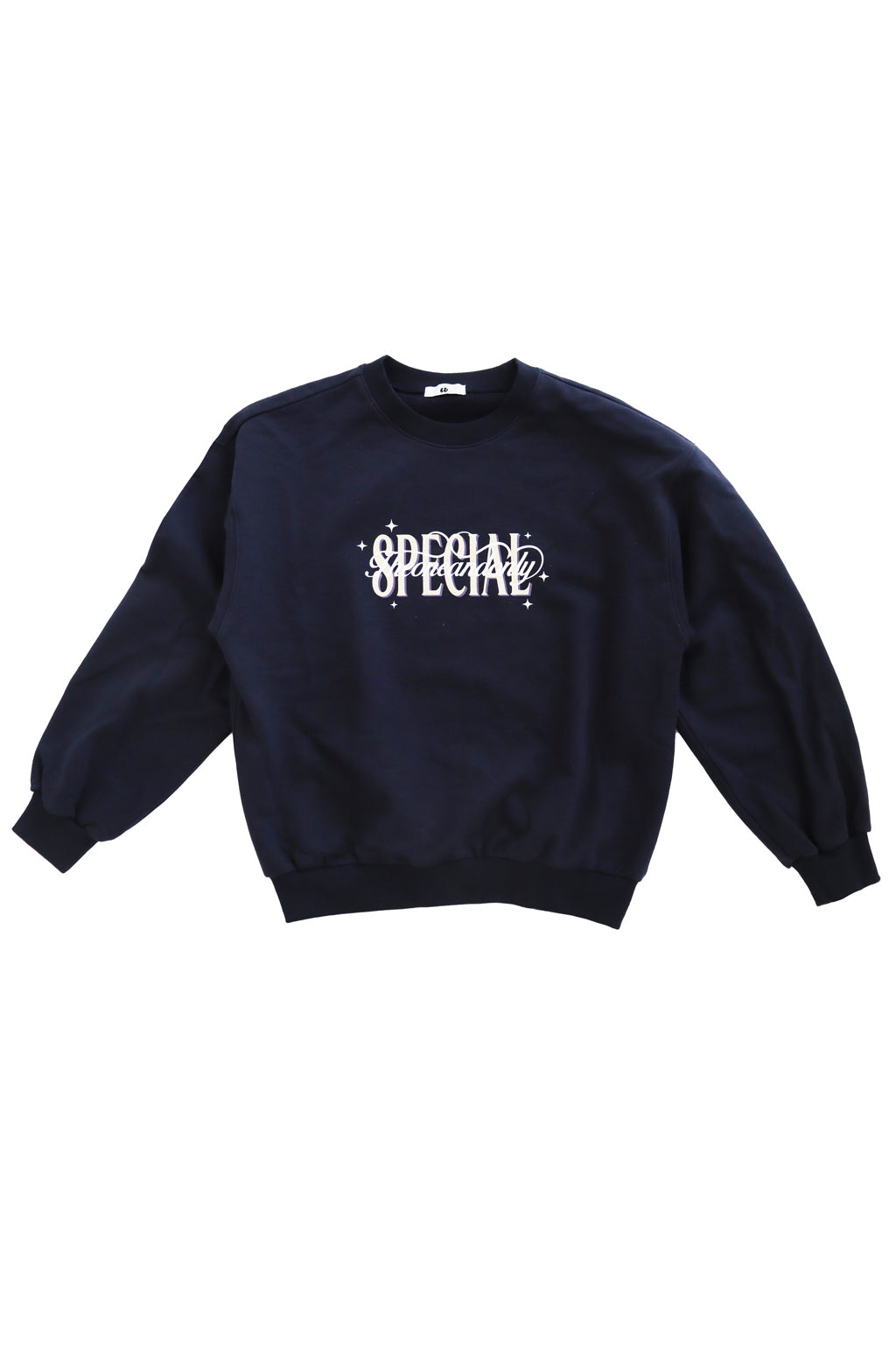 Printed Graphic Crew Neck Sweatshirt Navy