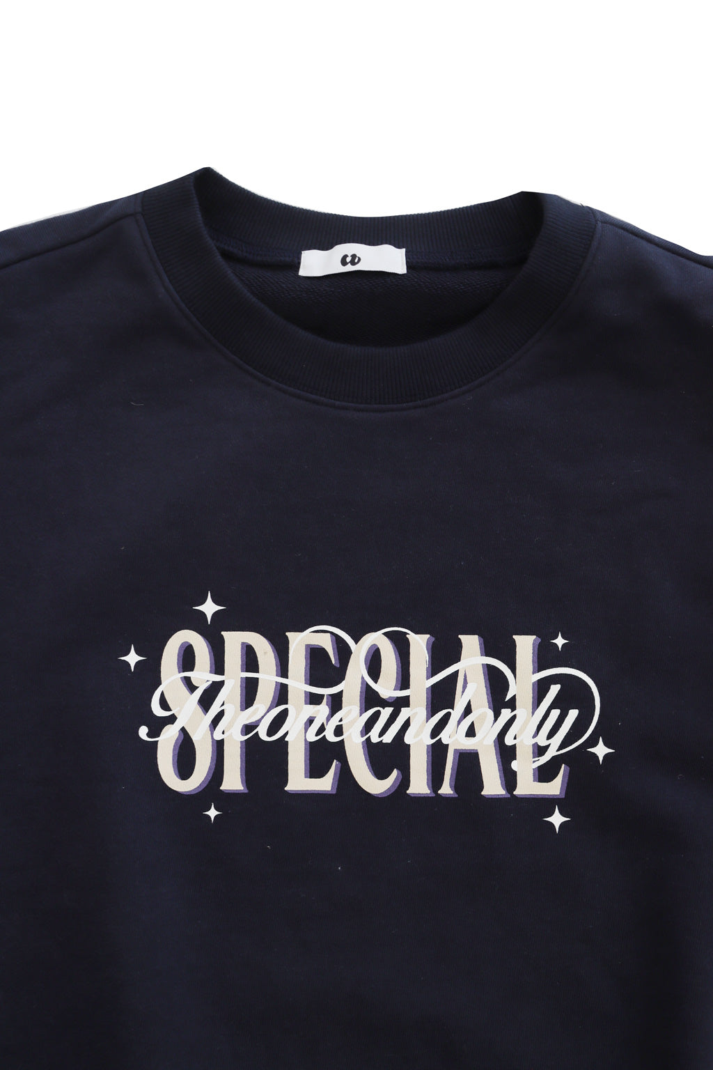 Printed Graphic Crew Neck Sweatshirt Navy